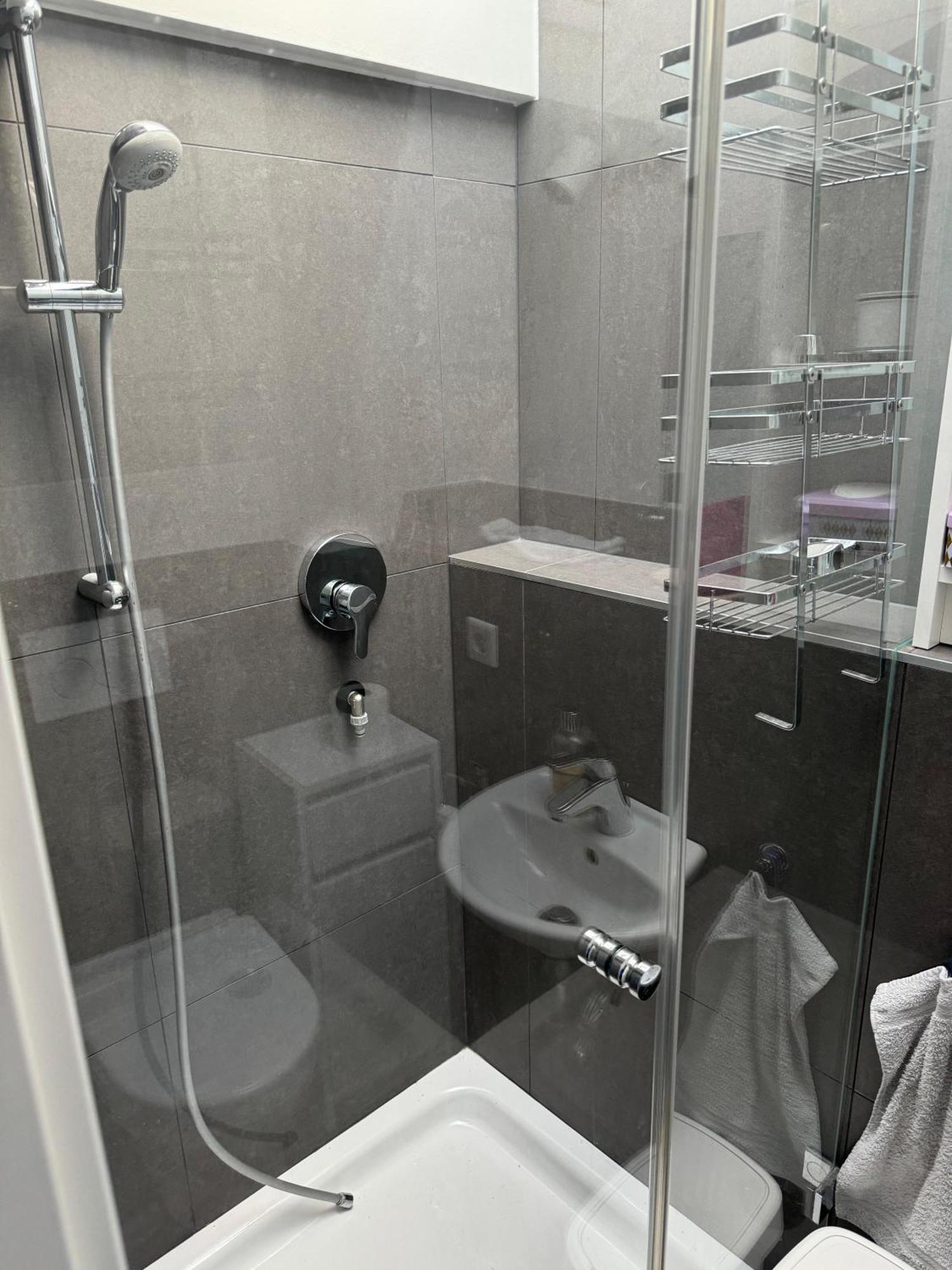 6 Zimmer Maisonette-Penthouse Pool Dachterrasse Luxus Μόναχο Εξωτερικό φωτογραφία